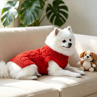 Cozy Knit Sweater — Warm Comfort for Your Little Companion